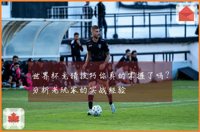 世界杯竞猜技巧你真的掌握了吗？分析老玩家的实战经验