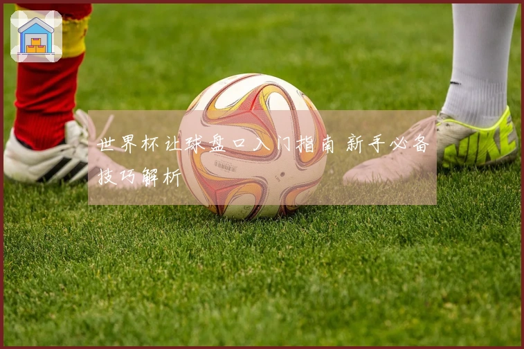 世界杯让球盘口入门指南 新手必备技巧解析