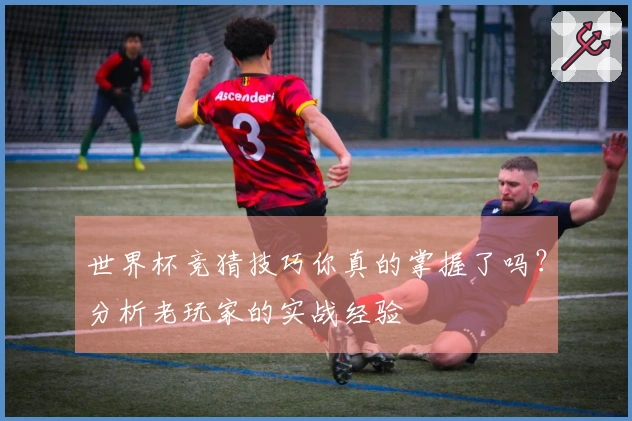 世界杯竞猜技巧你真的掌握了吗？分析老玩家的实战经验