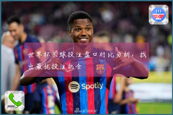 世界杯买球投注盘口对比分析，找出最优投注机会