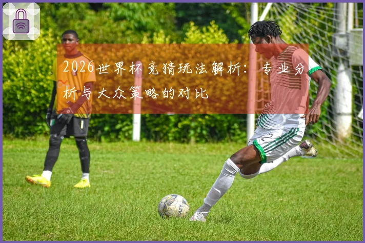 2026世界杯竞猜玩法解析：专业分析与大众策略的对比
