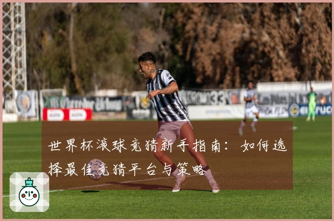世界杯滚球竞猜新手指南：如何选择最佳竞猜平台与策略