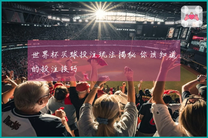 世界杯买球投注玩法揭秘 你该知道的投注技巧