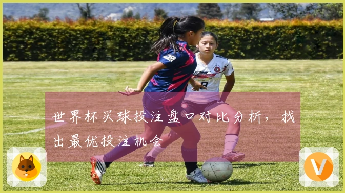 世界杯买球投注盘口对比分析，找出最优投注机会